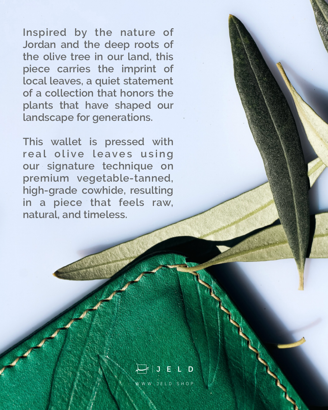Olive leaves