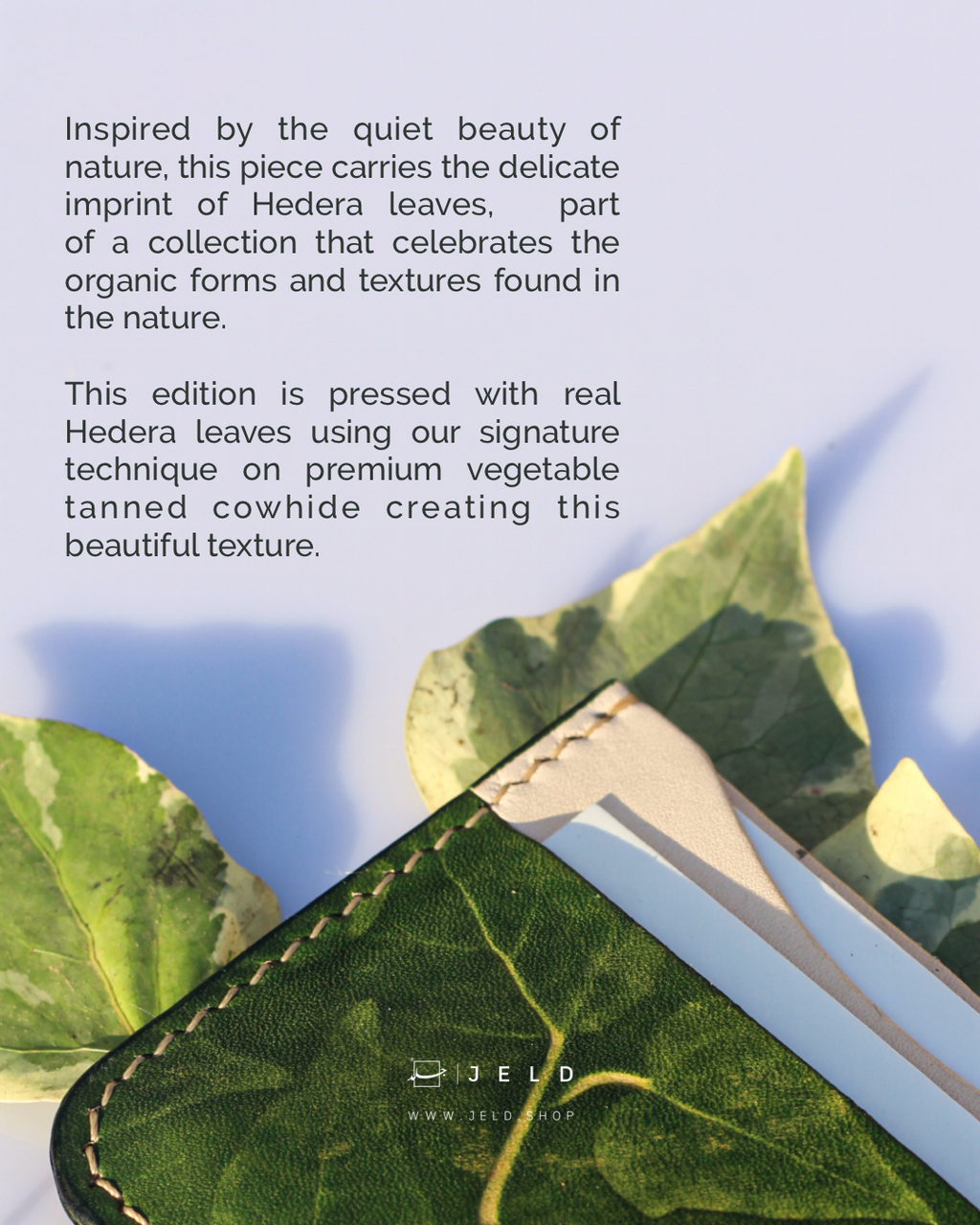 Hedera Leaves Wallet