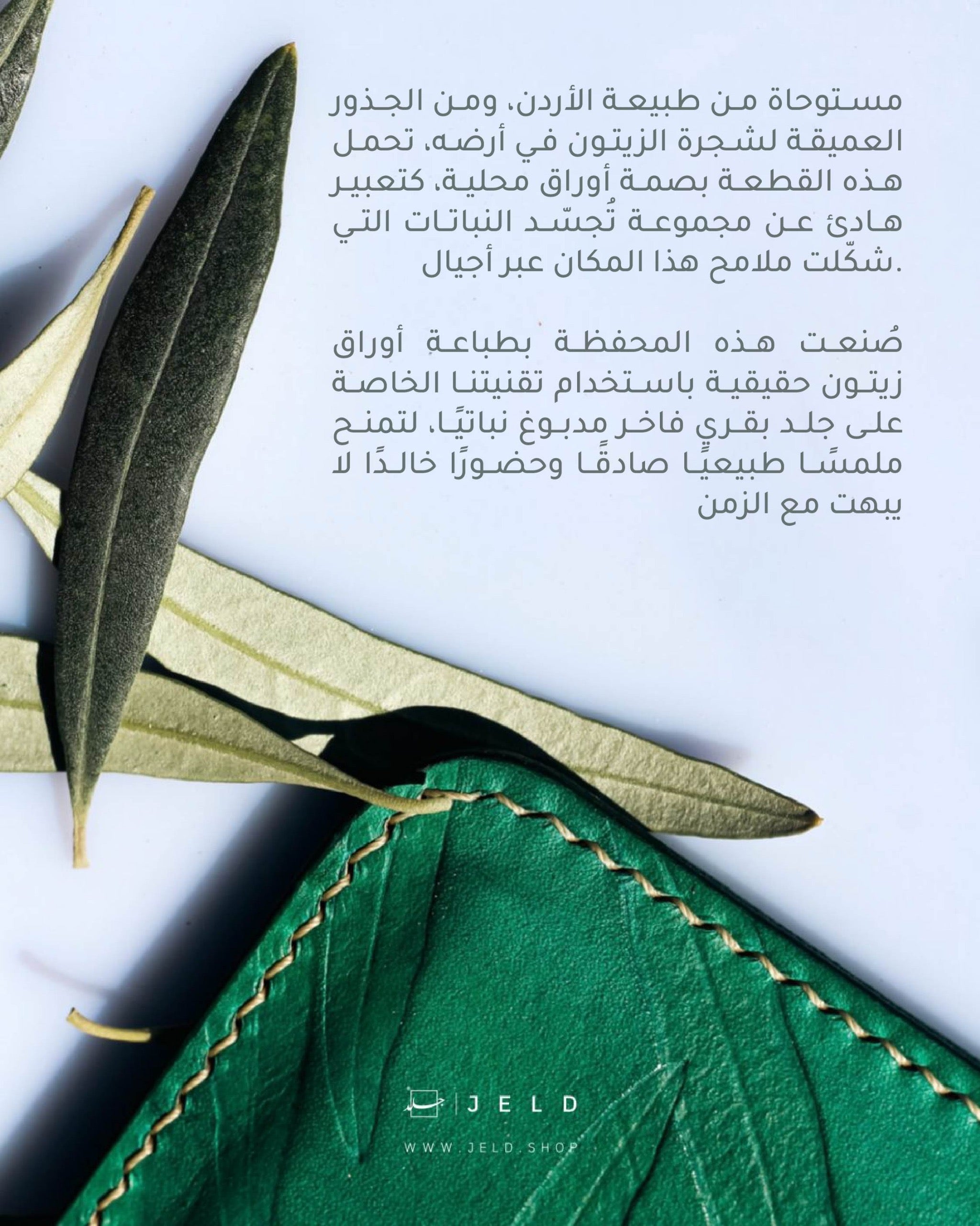 Olive leaves
